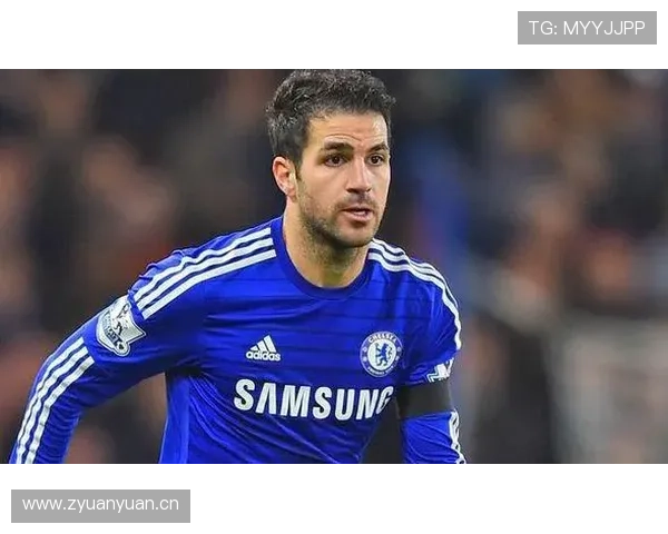 威廉·萨利巴：英超最佳阵容中卫的顶级蜕变